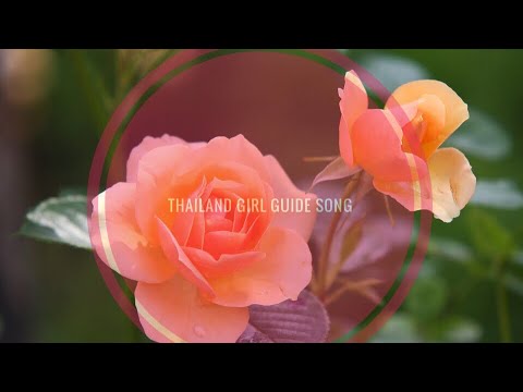Thailand Girl Guide song : เพลงผู้บำเพ็ญประโยชน์ version ภาษาอังกฤษ