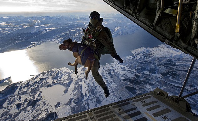 Special Forces Soldiers And Their Dogs Take Part In Tandem Parachute  Freefall | Daily Mail Online