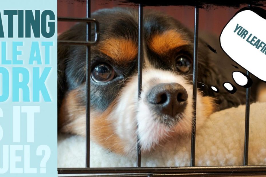 Is It Ok To Leave A Dog Crated All Day? Exploring The Impact On Your